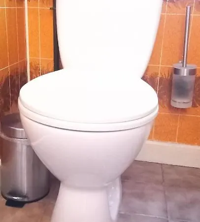 N *